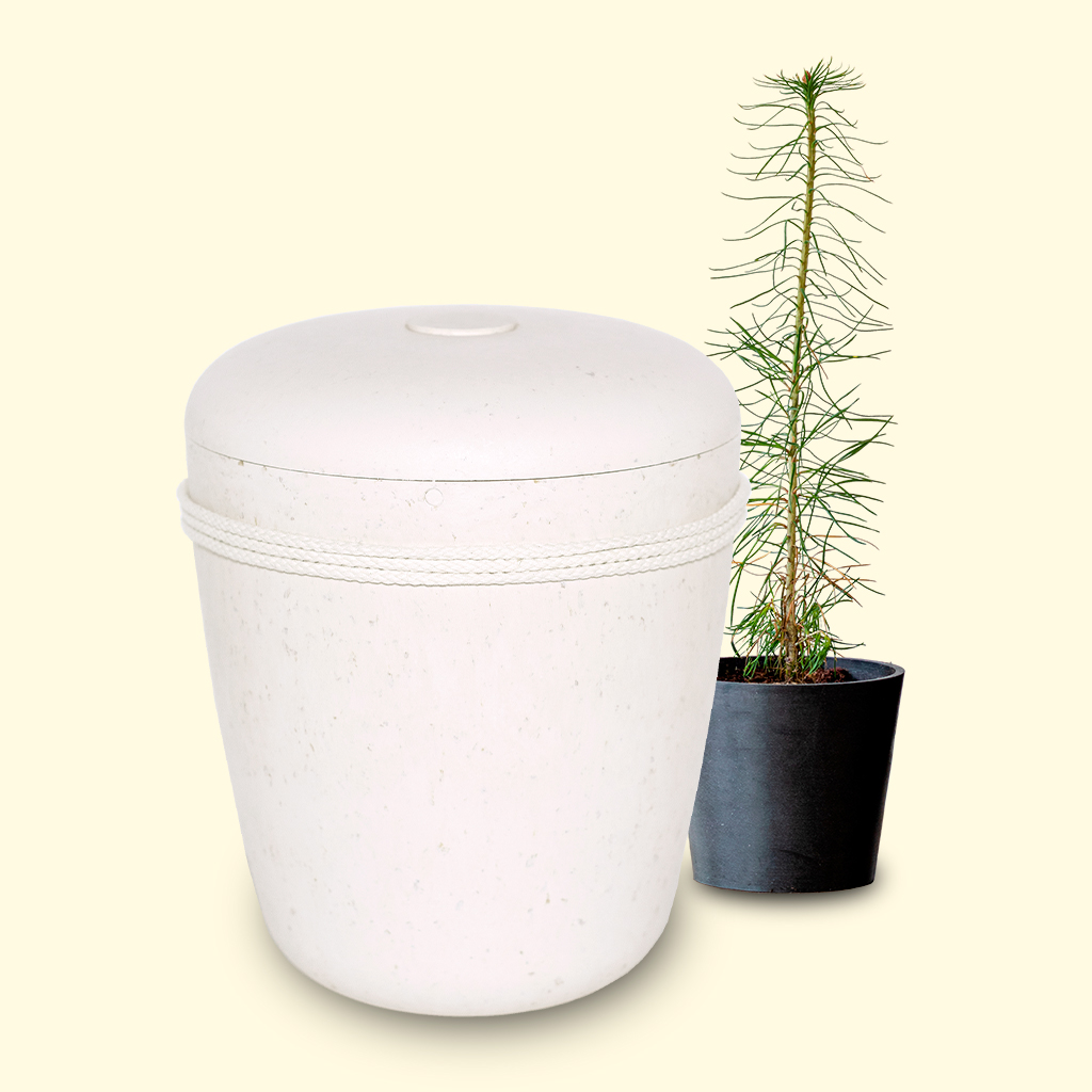 Uurnat sivustolta www.benutree.fi